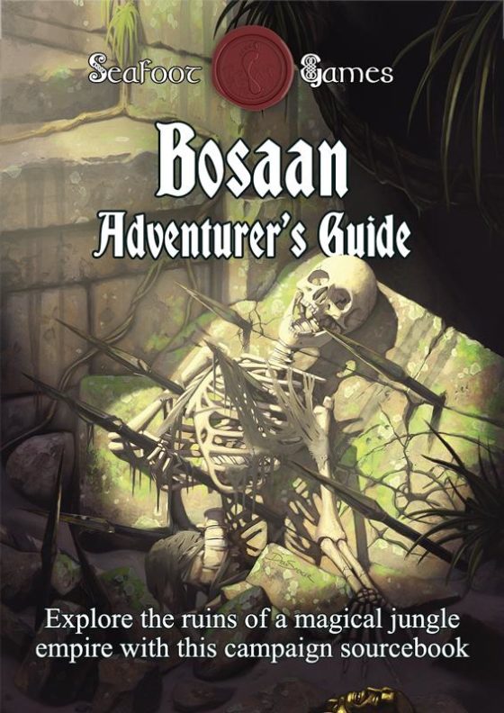 Adventurer's Guide to Bosaan D&D Battlemap Bundle