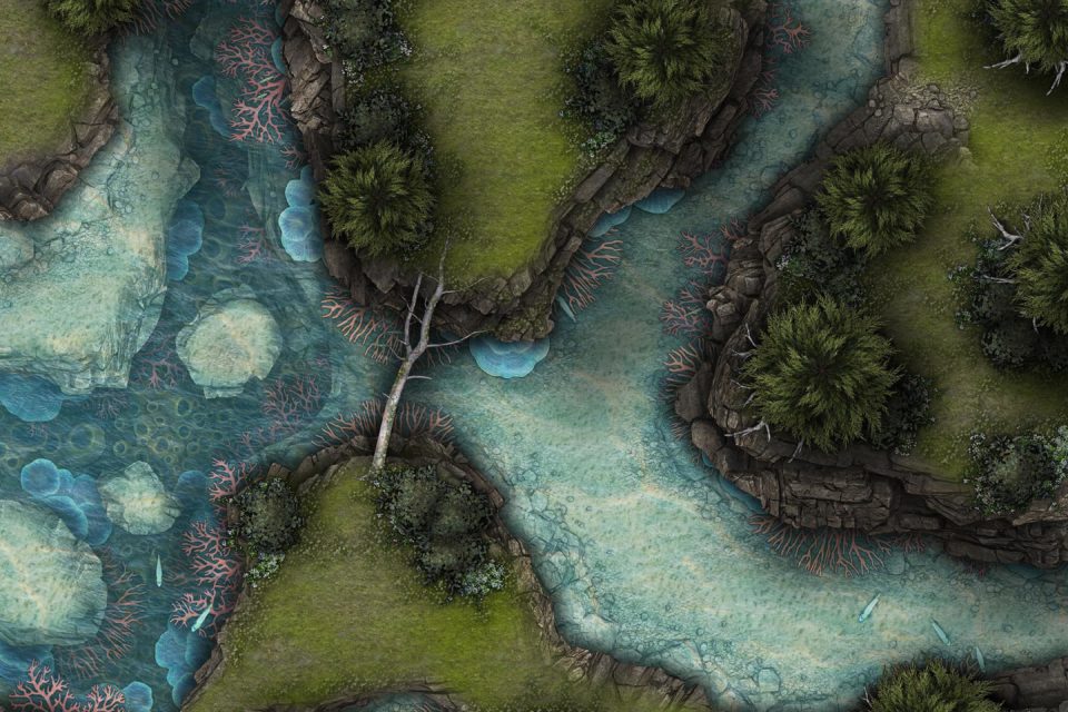 Orlian Coast Forest 40x30 Battlemap & Adventure